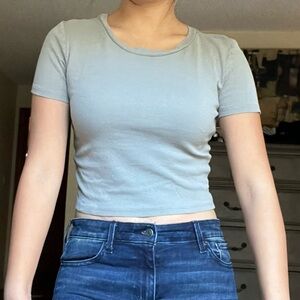 Zara Small Light Gray Crop Top
